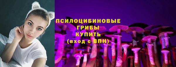 ешки Абинск