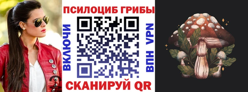 Галлюциногенные грибы Psilocybe закладка Карпинск