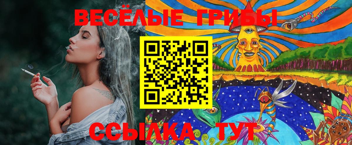 Карпинск  Галлюциногенные грибы ЛСД  Вход с VPN 